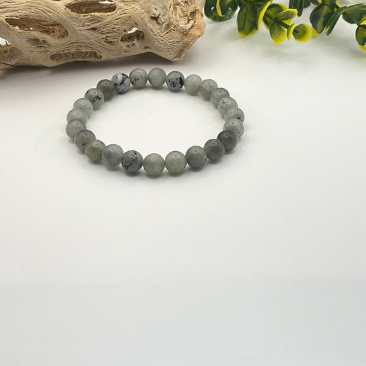 Gray beaded bracelet on a white background with natural elements.